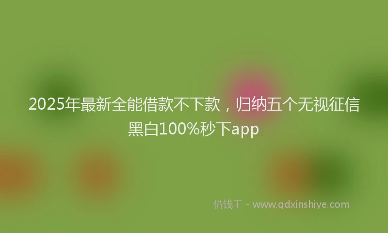 2025年最新全能借款不下款，归纳五个无视征信黑白100%秒下app