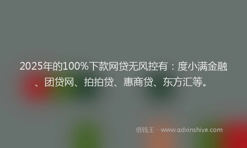 2025年的100%下款网贷无风控有：度小满金融、团贷网、拍拍贷、惠商贷、东方汇等。
