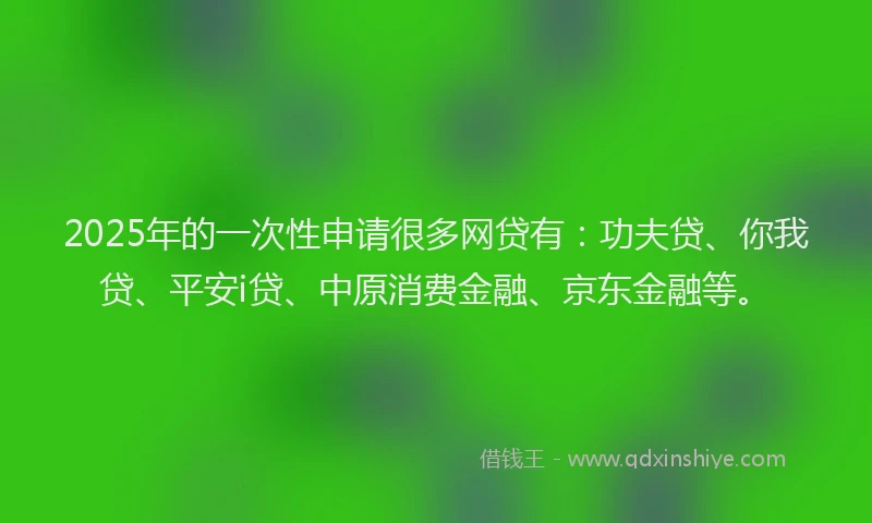 2025年的一次性申请很多网贷有：功夫贷、你我贷、平安i贷、中原消费金融、京东金融等。
