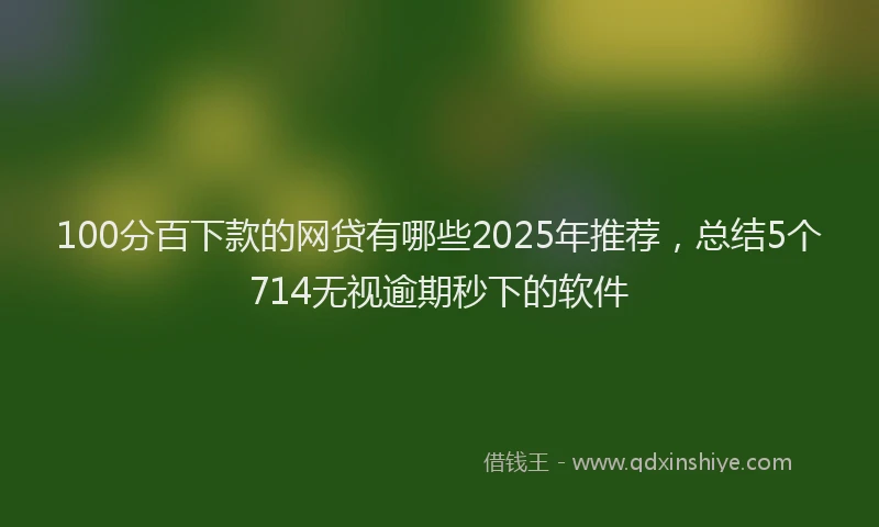 100分百下款的网贷有哪些2025年推荐，总结5个714无视逾期秒下的软件