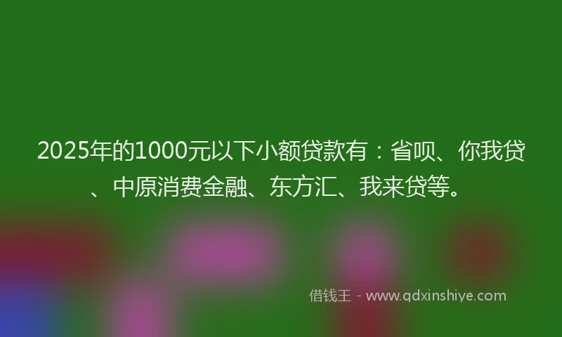 2025年的1000元以下小额贷款有：省呗、你我贷、中原消费金融、东方汇、我来贷等。