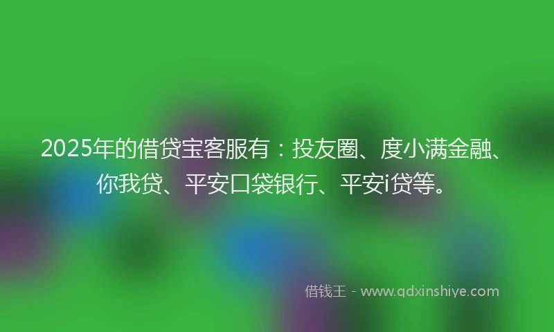 2025年的借贷宝客服有：投友圈、度小满金融、你我贷、平安口袋银行、平安i贷等。
