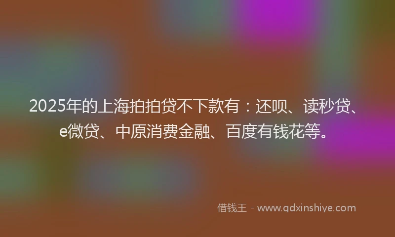 2025年的上海拍拍贷不下款有：还呗、读秒贷、e微贷、中原消费金融、百度有钱花等。