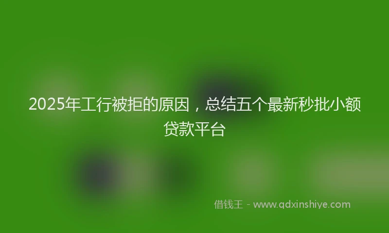 2025年工行被拒的原因，总结五个最新秒批小额贷款平台