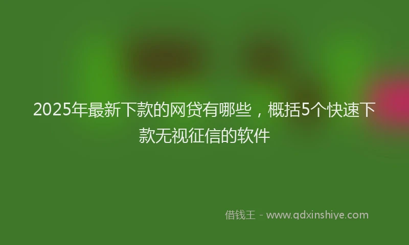 2025年最新下款的网贷有哪些，概括5个快速下款无视征信的软件