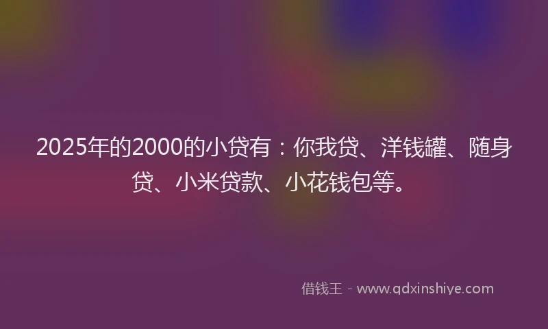 2025年的2000的小贷有：你我贷、洋钱罐、随身贷、小米贷款、小花钱包等。