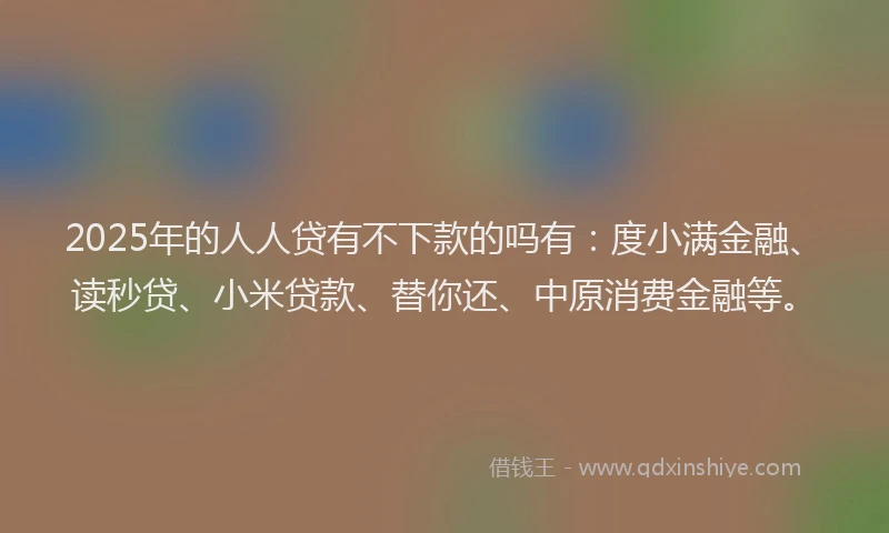 2025年的人人贷有不下款的吗有：度小满金融、读秒贷、小米贷款、替你还、中原消费金融等。