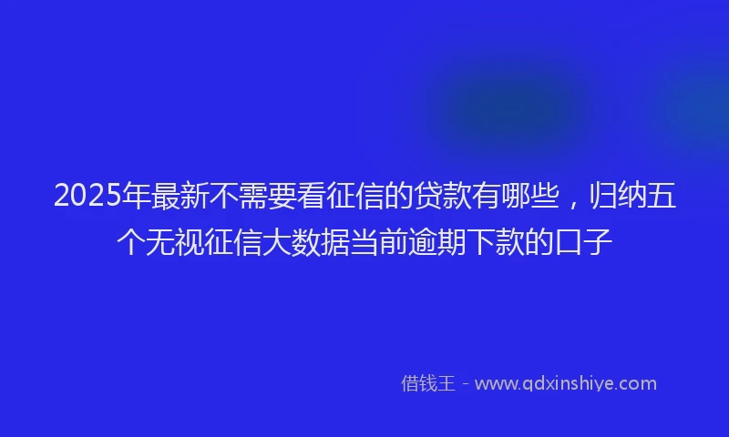 2025年最新不需要看征信的贷款有哪些，归纳五个无视征信大数据当前逾期下款的口子