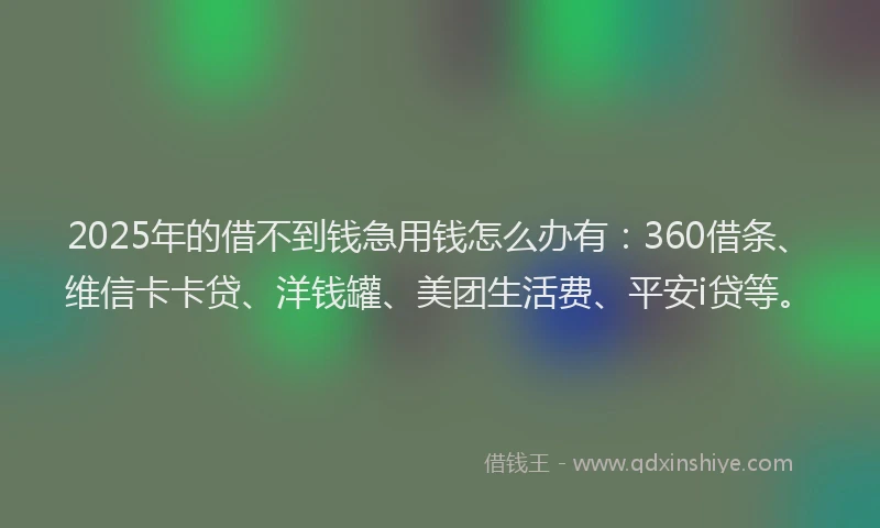 2025年的借不到钱急用钱怎么办有：360借条、维信卡卡贷、洋钱罐、美团生活费、平安i贷等。