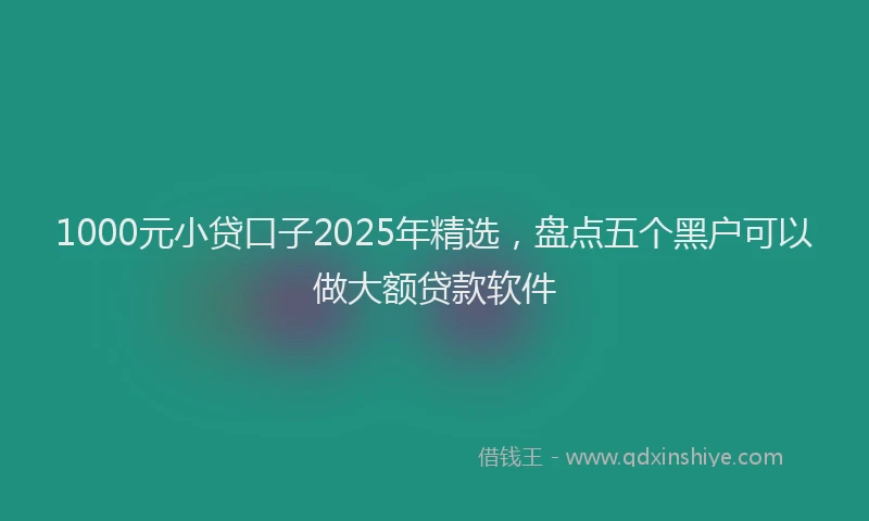1000元小贷口子2025年精选，盘点五个黑户可以做大额贷款软件