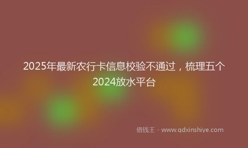 2025年最新农行卡信息校验不通过，梳理五个2024放水平台