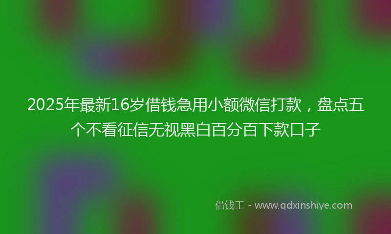 2025年最新16岁借钱急用小额微信打款，盘点五个不看征信无视黑白百分百下款口子