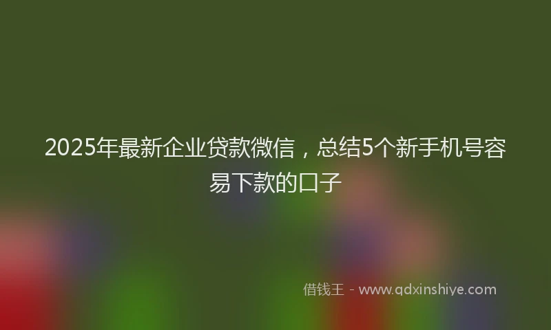 2025年最新企业贷款微信，总结5个新手机号容易下款的口子