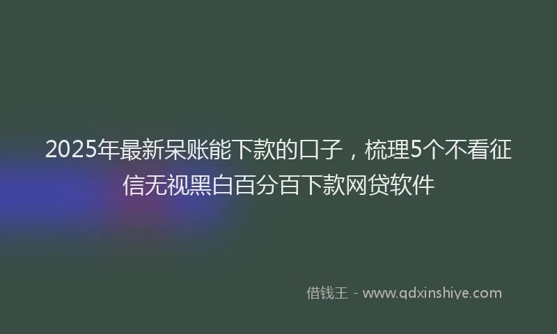 2025年最新呆账能下款的口子，梳理5个不看征信无视黑白百分百下款网贷软件