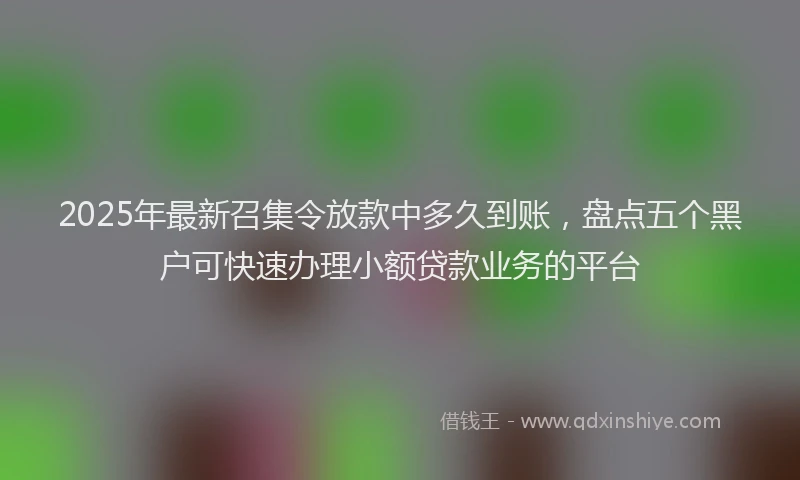2025年最新召集令放款中多久到账，盘点五个黑户可快速办理小额贷款业务的平台
