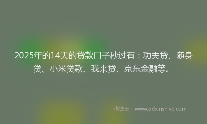 2025年的14天的贷款口子秒过有：功夫贷、随身贷、小米贷款、我来贷、京东金融等。