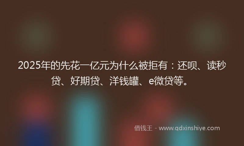 2025年的先花一亿元为什么被拒有：还呗、读秒贷、好期贷、洋钱罐、e微贷等。