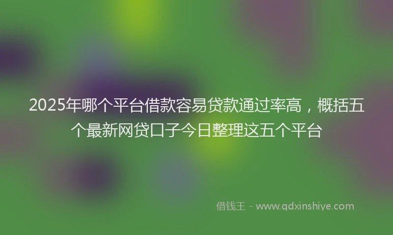 2025年哪个平台借款容易贷款通过率高，概括五个最新网贷口子今日整理这五个平台