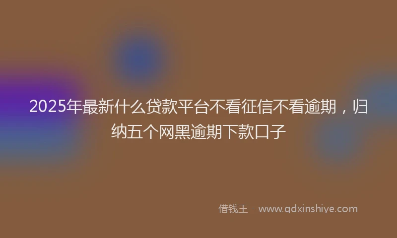 2025年最新什么贷款平台不看征信不看逾期，归纳五个网黑逾期下款口子