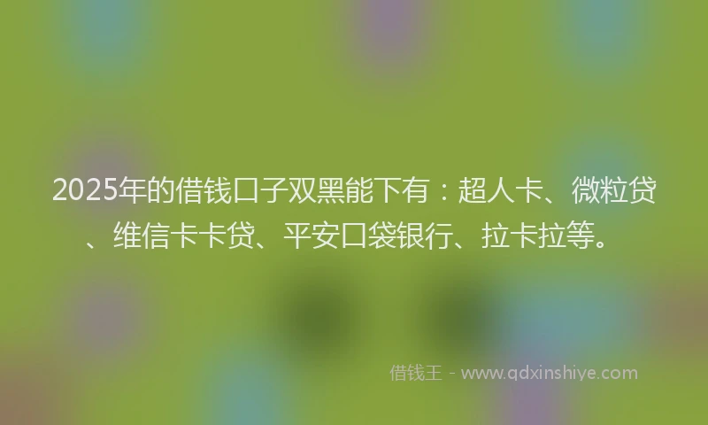 2025年的借钱口子双黑能下有：超人卡、微粒贷、维信卡卡贷、平安口袋银行、拉卡拉等。