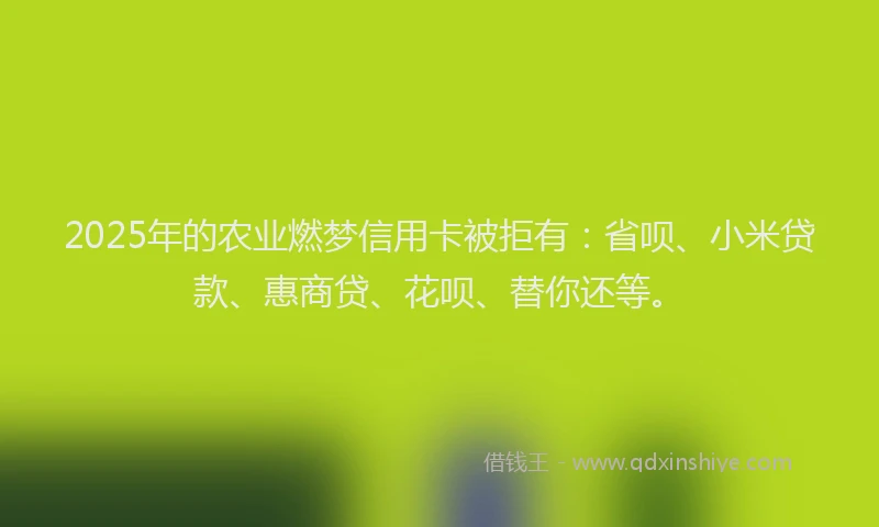 2025年的农业燃梦信用卡被拒有：省呗、小米贷款、惠商贷、花呗、替你还等。