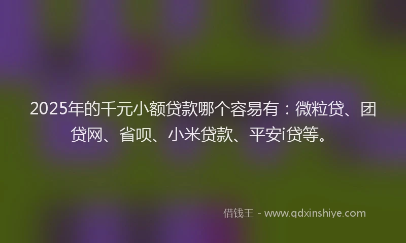2025年的千元小额贷款哪个容易有：微粒贷、团贷网、省呗、小米贷款、平安i贷等。