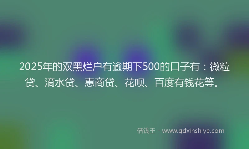 2025年的双黑烂户有逾期下500的口子有：微粒贷、滴水贷、惠商贷、花呗、百度有钱花等。