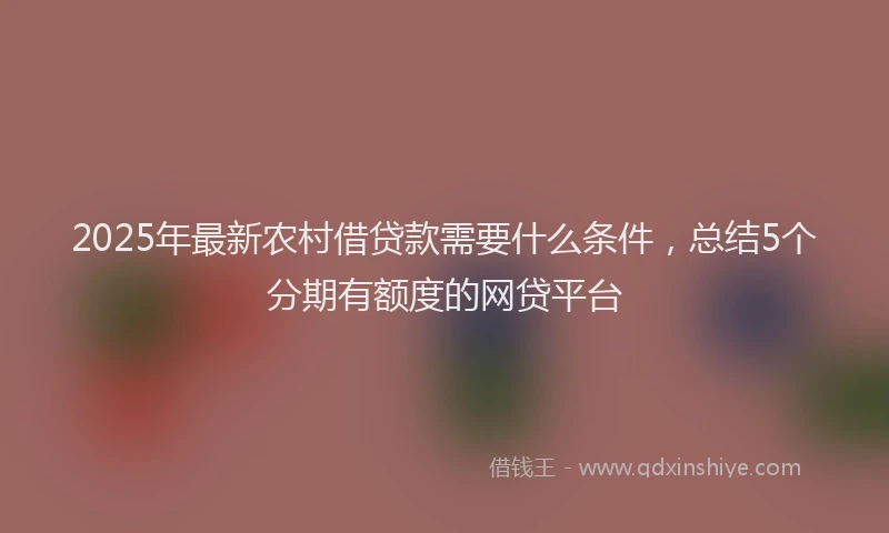 2025年最新农村借贷款需要什么条件，总结5个分期有额度的网贷平台