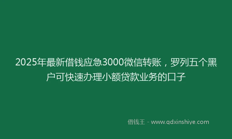 2025年最新借钱应急3000微信转账，罗列五个黑户可快速办理小额贷款业务的口子