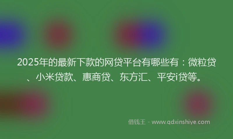2025年的最新下款的网贷平台有哪些有：微粒贷、小米贷款、惠商贷、东方汇、平安i贷等。