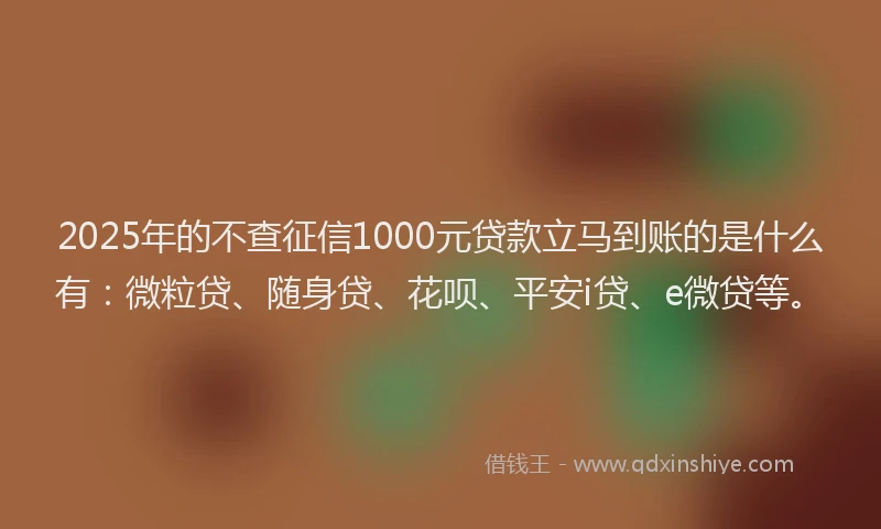 2025年的不查征信1000元贷款立马到账的是什么有：微粒贷、随身贷、花呗、平安i贷、e微贷等。