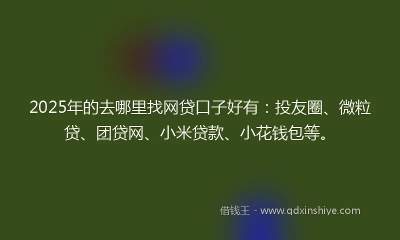 2025年的去哪里找网贷口子好有：投友圈、微粒贷、团贷网、小米贷款、小花钱包等。