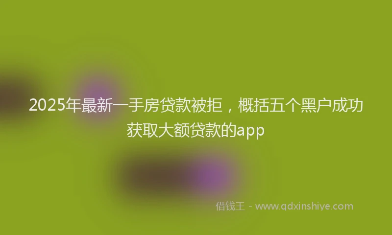 2025年最新一手房贷款被拒，概括五个黑户成功获取大额贷款的app