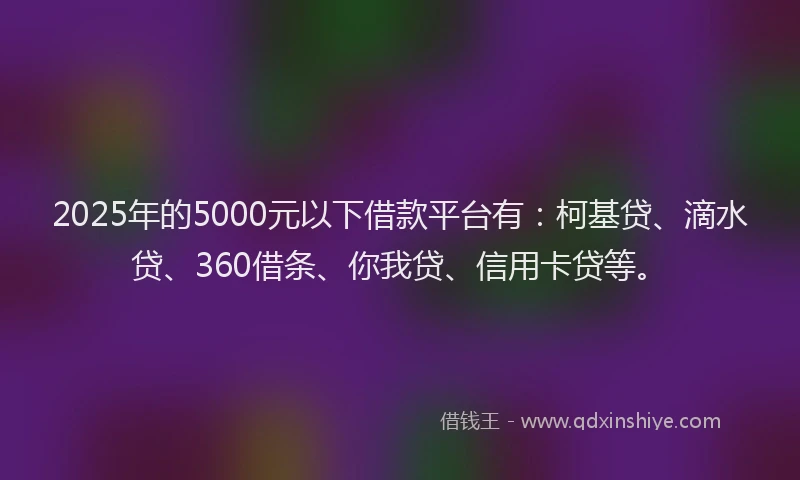 2025年的5000元以下借款平台有：柯基贷、滴水贷、360借条、你我贷、信用卡贷等。
