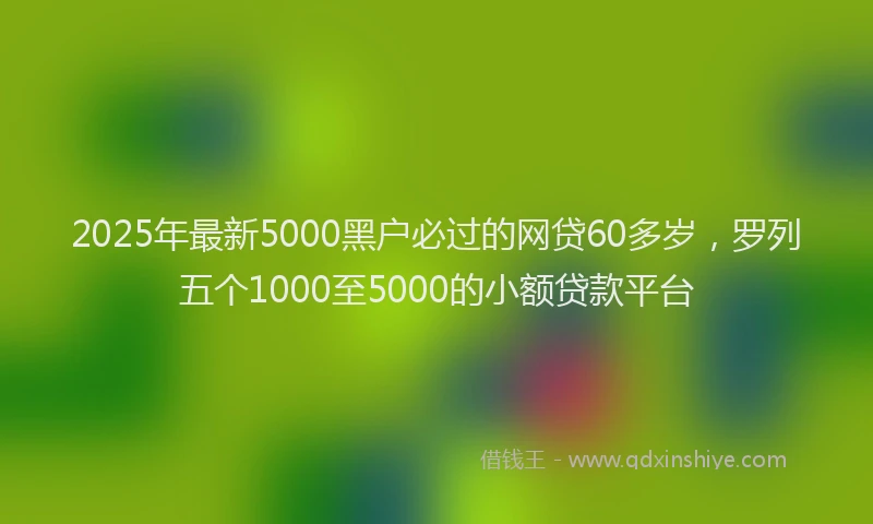2025年最新5000黑户必过的网贷60多岁，罗列五个1000至5000的小额贷款平台
