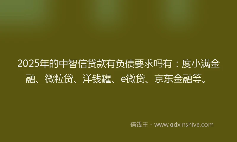 2025年的中智信贷款有负债要求吗有：度小满金融、微粒贷、洋钱罐、e微贷、京东金融等。