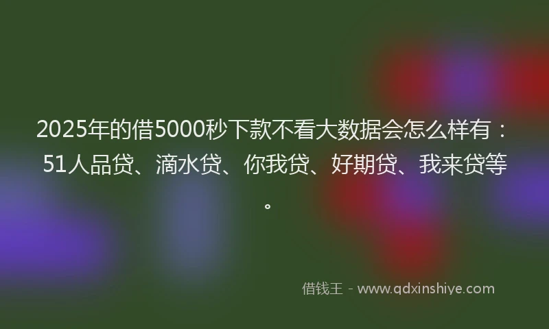 2025年的借5000秒下款不看大数据会怎么样有：51人品贷、滴水贷、你我贷、好期贷、我来贷等。