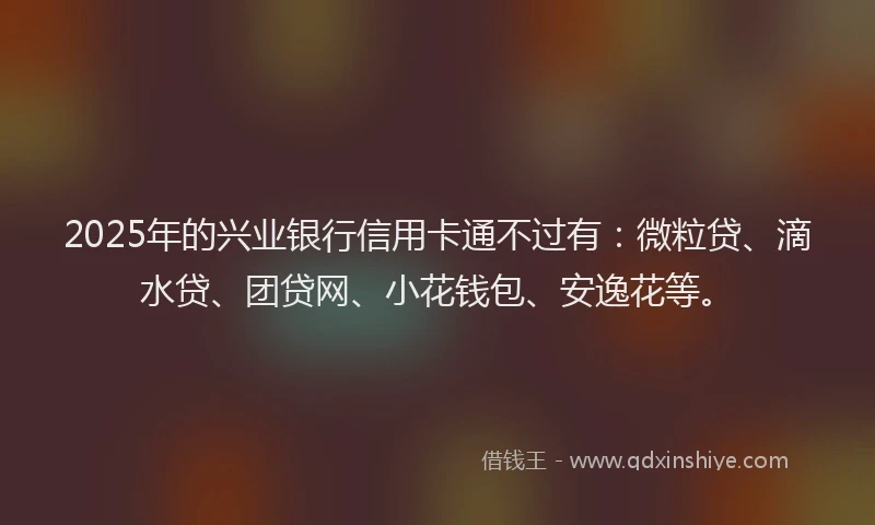 2025年的兴业银行信用卡通不过有：微粒贷、滴水贷、团贷网、小花钱包、安逸花等。