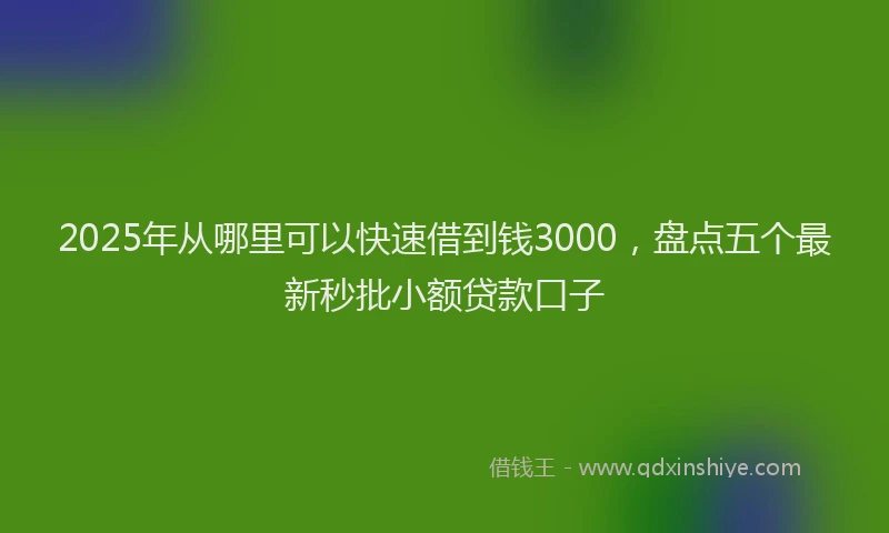 2025年从哪里可以快速借到钱3000，盘点五个最新秒批小额贷款口子