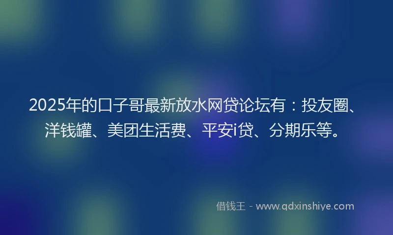 2025年的口子哥最新放水网贷论坛有：投友圈、洋钱罐、美团生活费、平安i贷、分期乐等。