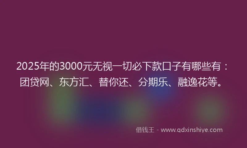 2025年的3000元无视一切必下款口子有哪些有：团贷网、东方汇、替你还、分期乐、融逸花等。