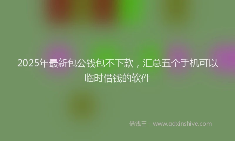2025年最新包公钱包不下款，汇总五个手机可以临时借钱的软件