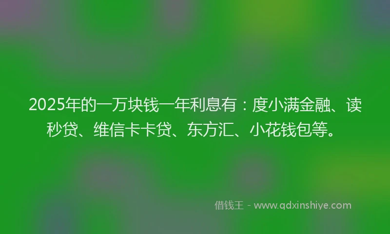 2025年的一万块钱一年利息有：度小满金融、读秒贷、维信卡卡贷、东方汇、小花钱包等。