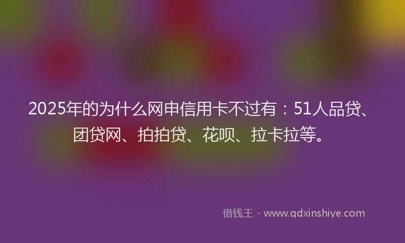 2025年的为什么网申信用卡不过有：51人品贷、团贷网、拍拍贷、花呗、拉卡拉等。