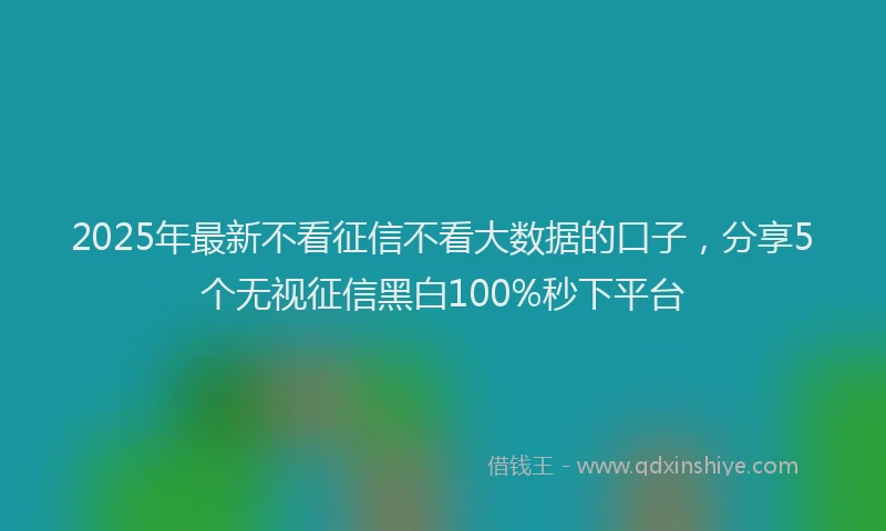 2025年最新不看征信不看大数据的口子，分享5个无视征信黑白100%秒下平台