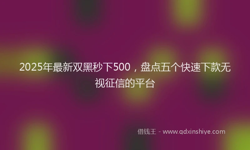2025年最新双黑秒下500，盘点五个快速下款无视征信的平台