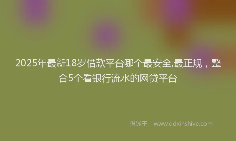 2025年最新18岁借款平台哪个最安全,最正规，整合5个看银行流水的网贷平台