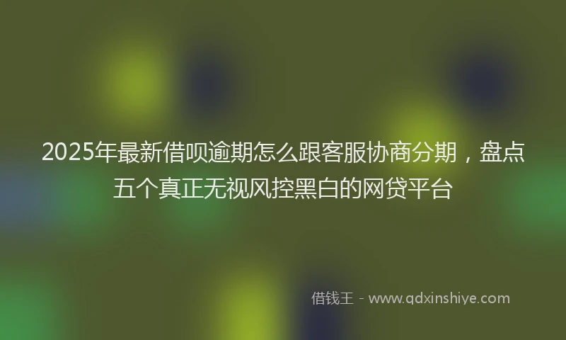 2025年最新借呗逾期怎么跟客服协商分期，盘点五个真正无视风控黑白的网贷平台