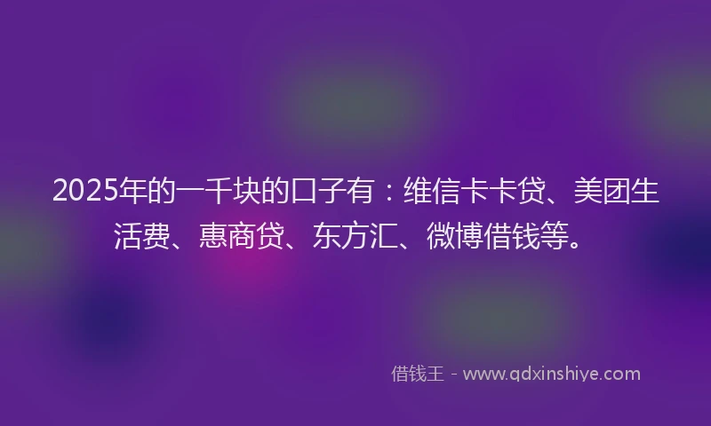 2025年的一千块的口子有：维信卡卡贷、美团生活费、惠商贷、东方汇、微博借钱等。