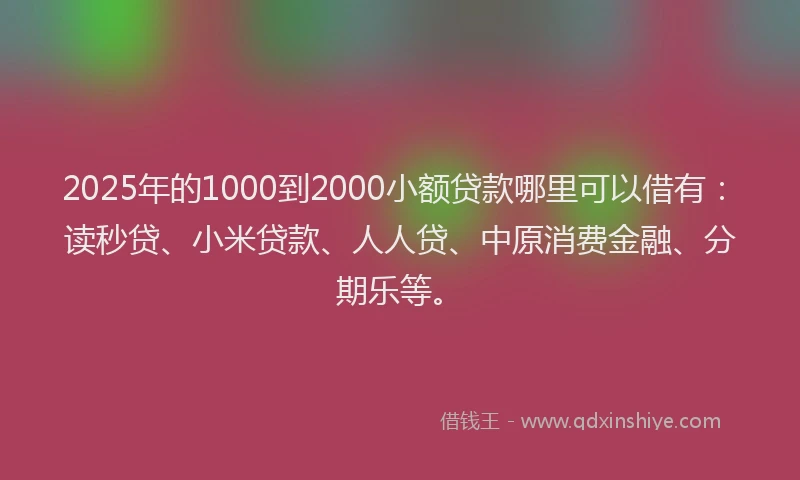2025年的1000到2000小额贷款哪里可以借有：读秒贷、小米贷款、人人贷、中原消费金融、分期乐等。